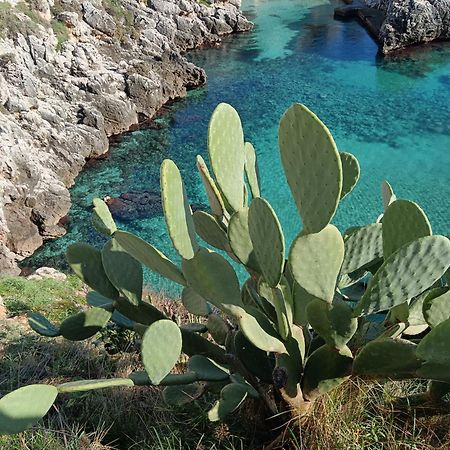 Casa Vacanze Lepanto Castro  المظهر الخارجي الصورة